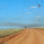 worthy-news-image-Swarm_of_Locusts-320×180