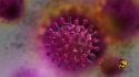 worthy-news-image-coronavirus-2-worthy-ministries-125×70