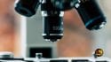 worthy-news-image-microscope-science-vaccine-worthy-ministries-125×70