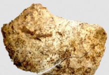 Key Artifact Of Europe’s Early Christians Found in Britain