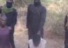 Prayers Urged After Islamists Execute 20 Nigerian Christians